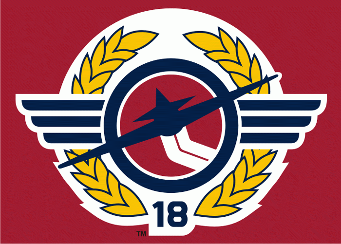 Windsor Spitfires 2007-pres alternate logo iron on transfers for T-shirts
